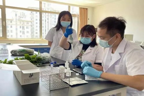 推廣應(yīng)用快速檢測技術(shù)，筑牢農(nóng)產(chǎn)品質(zhì)量安全“最初一公里”防線