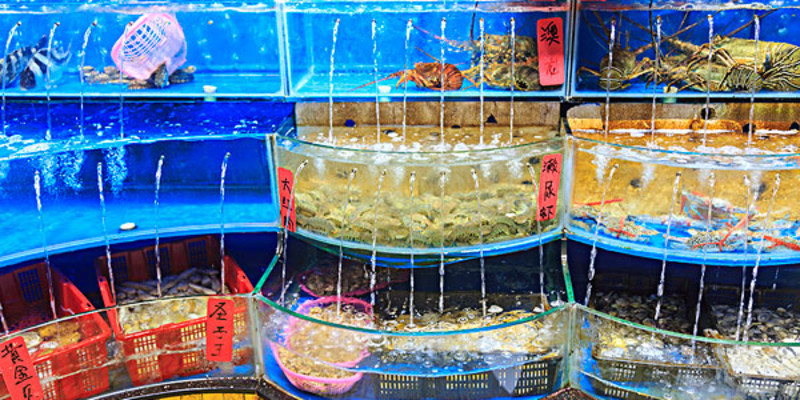 大連普蘭店水產(chǎn)品購(gòu)買指南 價(jià)格、專賣店與選購(gòu)地點(diǎn)詳解