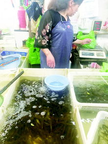 水產(chǎn)品成缺斤少兩多發(fā)地，監(jiān)管與誠(chéng)信雙缺失亟待解決